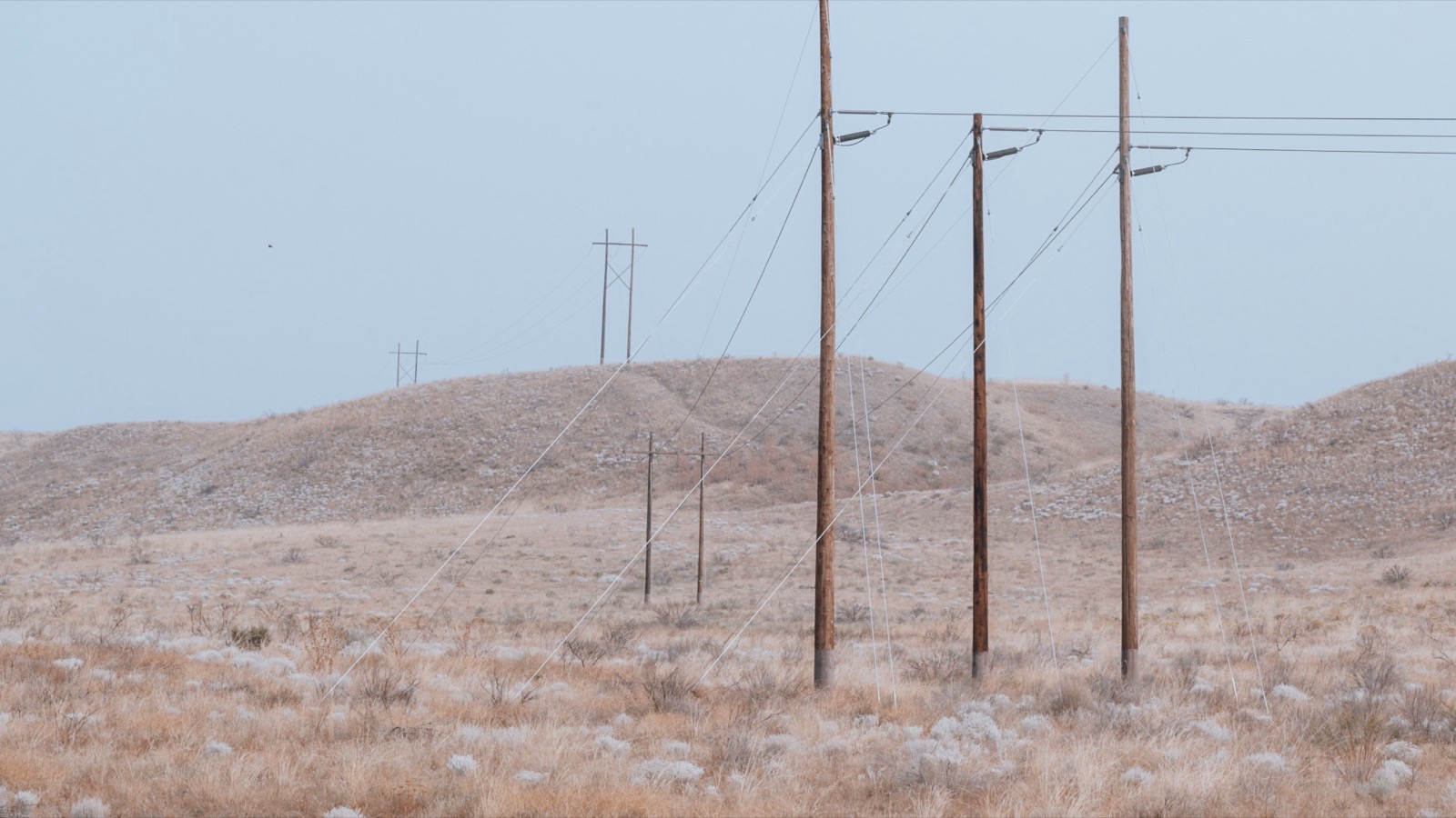 Power distribution lines marching across pale high-desert scrubland — Antelope Valley edge of the grid