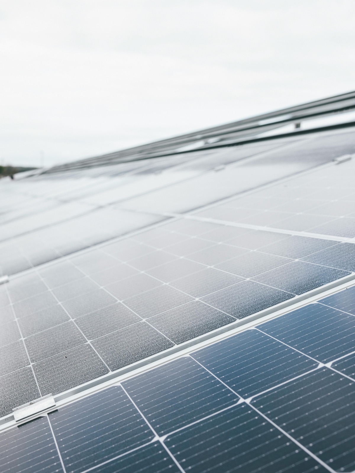 Rows of solar panels stretching toward the horizon at a utility-scale solar farm